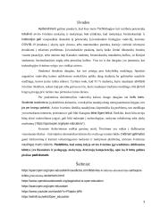 Atviro švietimo koncepto analizė 3 puslapis