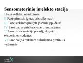 Pažintinės ir psichosocialinės raidos ypatumai kūdikystės bei ankstyvosios vaikystės amžiaus tarpsniais 15 puslapis