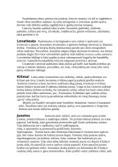 Lietuvių liaudies menas 3 puslapis