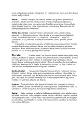 Lietuvių liaudies menas 4 puslapis