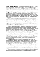 Lietuvių liaudies menas 5 puslapis