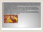 Organiniai junginiai angliavandeniai 2 puslapis