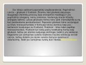 Organiniai junginiai angliavandeniai 5 puslapis