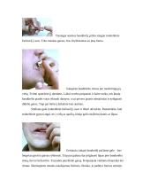 Lietuvių liaudies muzikos instrumentas - bandūrėlis 5 puslapis