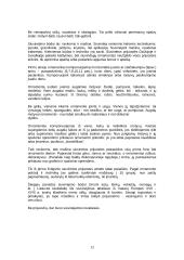 Lietuvių liaudies objektas susijęs su giminės istorija 12 puslapis