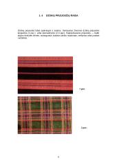 Lietuvių liaudies objektas susijęs su giminės istorija 6 puslapis