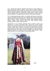 Lietuvių liaudies objektas susijęs su giminės istorija 8 puslapis