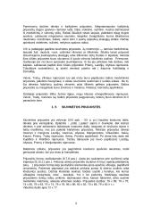 Lietuvių liaudies objektas susijęs su giminės istorija 9 puslapis