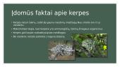 Aplinkos bioindikatoriai 9 puslapis
