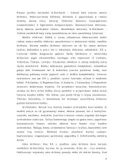 Taikomoji lietuvių liaudies tautodailė 6 puslapis