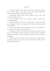 Taikomoji lietuvių liaudies tautodailė 8 puslapis