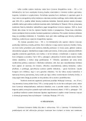 Lietuvių tautiniai drabužiai 6 puslapis