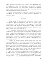 Lietuvių tautiniai drabužiai 9 puslapis