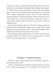 Lietuvių tautosaka 8 puslapis