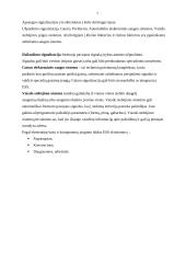 Gyvenamojo namo apsauginės signalizacijos sudarymas 6 puslapis