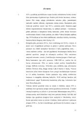 Lietuvos bastioninės pilys 10 puslapis