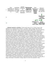 Lietuvos didysis kunigaikštis Gediminas 3 puslapis