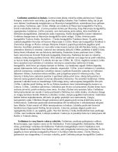 Lietuvos didysis kunigaikštis Gediminas 4 puslapis