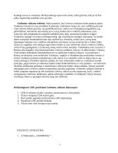 Lietuvos didysis kunigaikštis Gediminas 6 puslapis