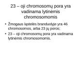 Gyvybės įvairovę kuria tėvai ir aplinka 15 puslapis