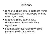 Gyvybės įvairovę kuria tėvai ir aplinka 20 puslapis