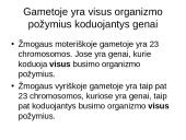Gyvybės įvairovę kuria tėvai ir aplinka 3 puslapis
