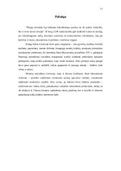 Lietuvos Didžiosios Kunigaikštystės numizmatika 11 puslapis