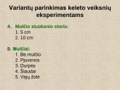 Eksperimento planavimas skaidrės 12 puslapis