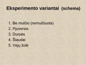 Eksperimento planavimas skaidrės 3 puslapis