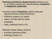 Eksperimento planavimas skaidrės 5 puslapis