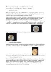 Entomologijos teorija 2 puslapis