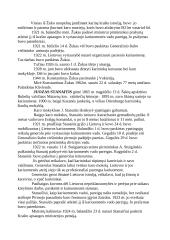 Lietuvos karvedžiai 4 puslapis