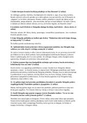 Skirgailos analizė 2 puslapis
