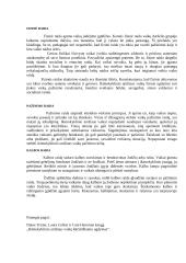 Ikimokyklinio amžiaus vaikų raidos ypatybės 2 puslapis