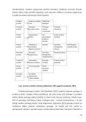 UAB "Tauragės viešbutis" įvaizdžio formavimas 17 puslapis