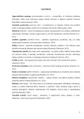 UAB "Tauragės viešbutis" įvaizdžio formavimas 5 puslapis