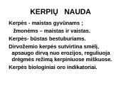 Kerpes sudaro dumbliai ir grybai  19 puslapis