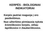Kerpes sudaro dumbliai ir grybai  20 puslapis