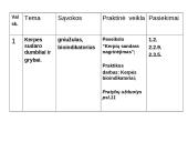 Kerpes sudaro dumbliai ir grybai  4 puslapis