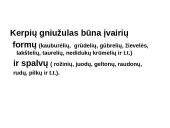 Kerpes sudaro dumbliai ir grybai  7 puslapis