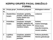 Kerpes sudaro dumbliai ir grybai  8 puslapis