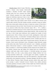 Lietuvos peizažiniai parkai, sukurti pagal Edouard Andre projektus ir jų išliekamoji vertė 5 puslapis