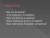 Žvaigždės - pristatymas 11 puslapis