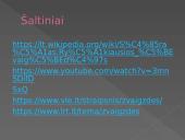 Žvaigždės - pristatymas 12 puslapis