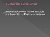 Žvaigždės - pristatymas 9 puslapis