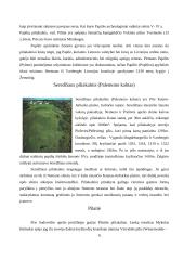 Lietuvos piliakalniai 6 puslapis