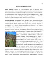 Svarbiausi Lietuvos piliakalniai 19 puslapis