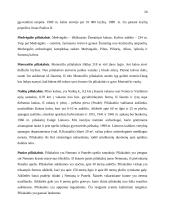 Svarbiausi Lietuvos piliakalniai 20 puslapis