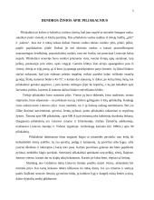 Svarbiausi Lietuvos piliakalniai 3 puslapis