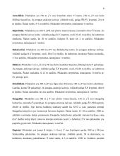 Svarbiausi Lietuvos piliakalniai 8 puslapis